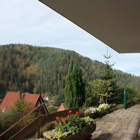 Apartment King Triberg im Schwarzwald